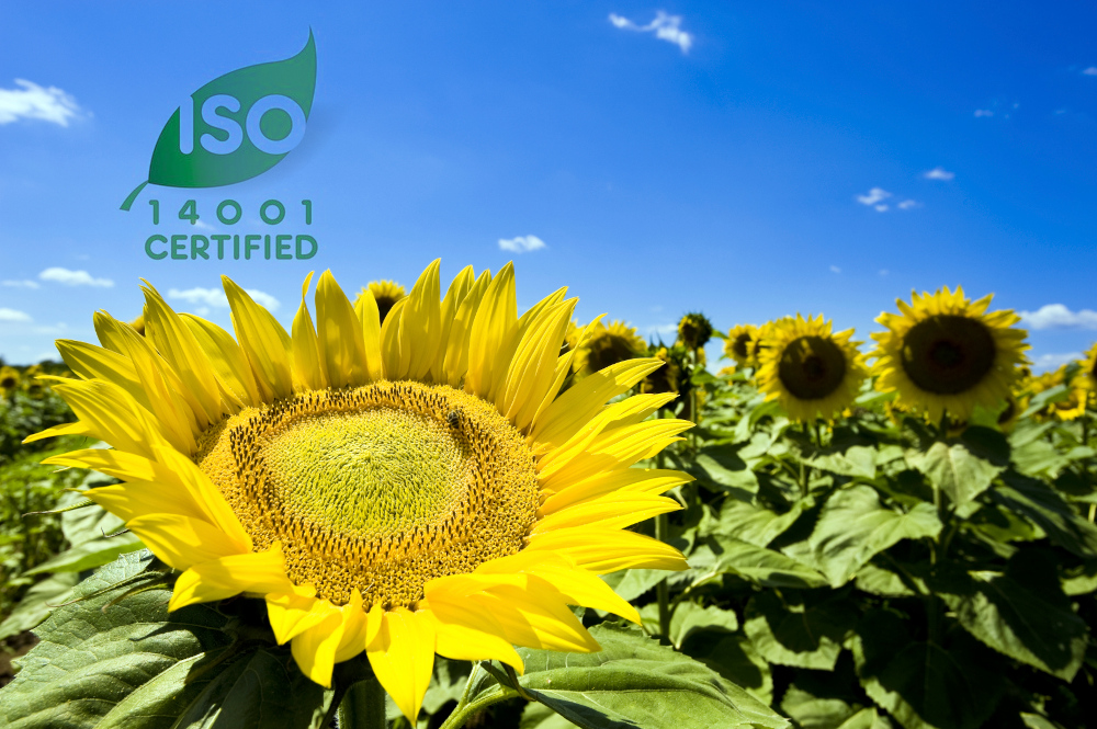 ISO 14001 sertifikuota įmonė - Asseco Lietuva